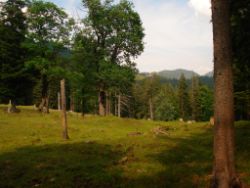 2013-07-20_Regina-F-Rau_Kochel-Rabenkopf (352).JPG